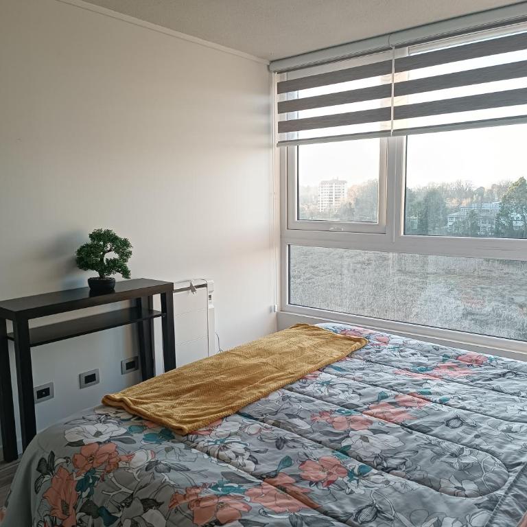 Céntrico departamento 7 - Apartamento de 1 dormitorio - 5