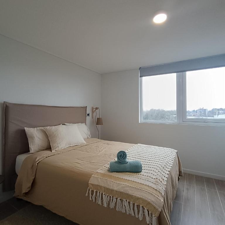Departamento Equipado Isla Teja - Two-Bedroom Apartment - 6