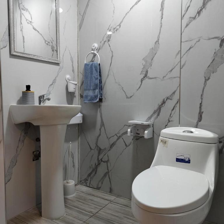 Loft Volcan Villarrica - Apartamento - 2 niveles - 9