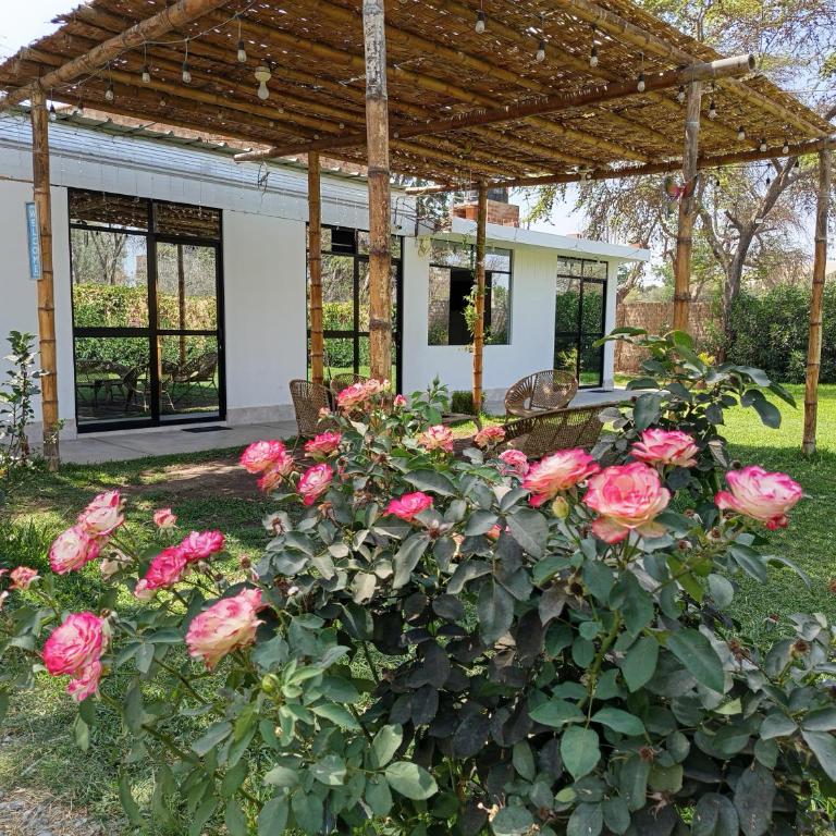 Casa Rústica - Three-Bedroom House - 24