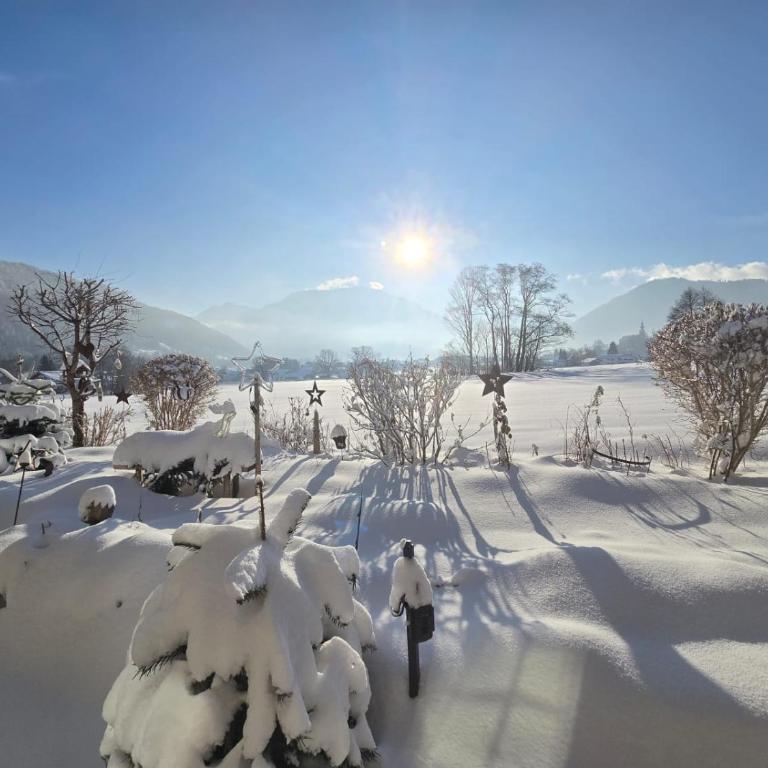Ferienwohnung Hörndlwand Ruhpolding Bergblick - Apartment mit 1 Schlafzimmer - 62