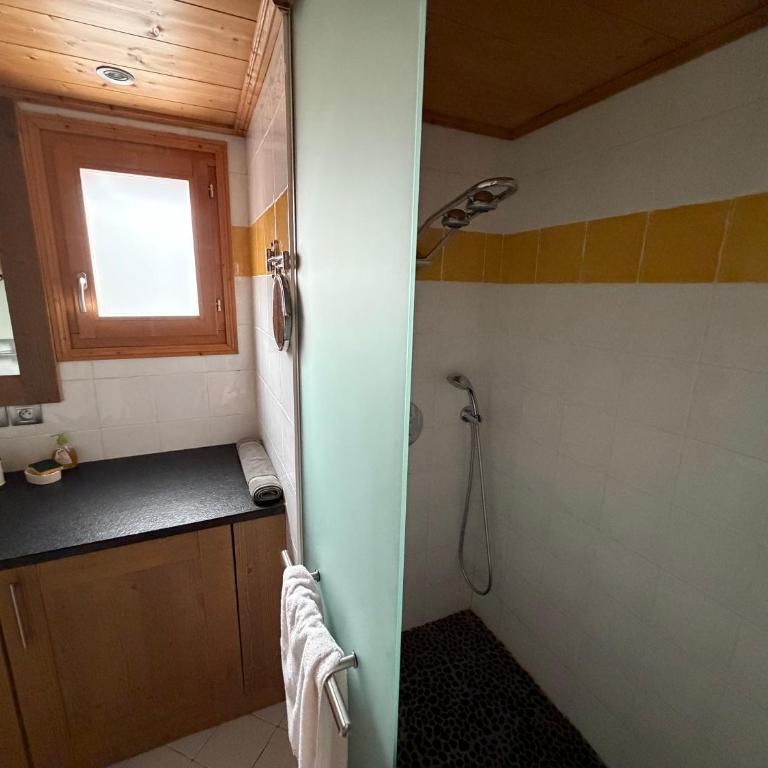 Résidence Les Chardons Argentés - Superior Apartment - 19