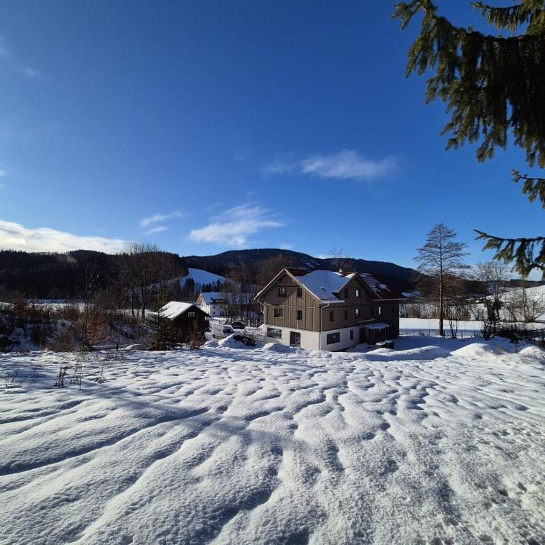 Hardy's Lodge - Ferienhaus - 13
