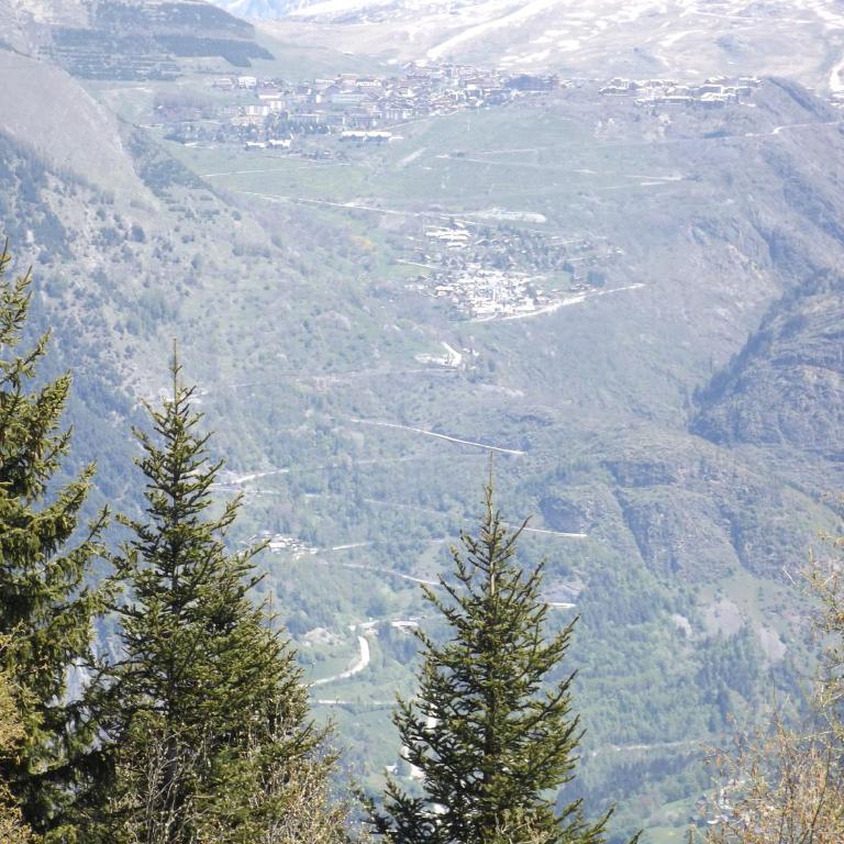 Gite le Grand Renaud - Chalet 1 Chambre - 20