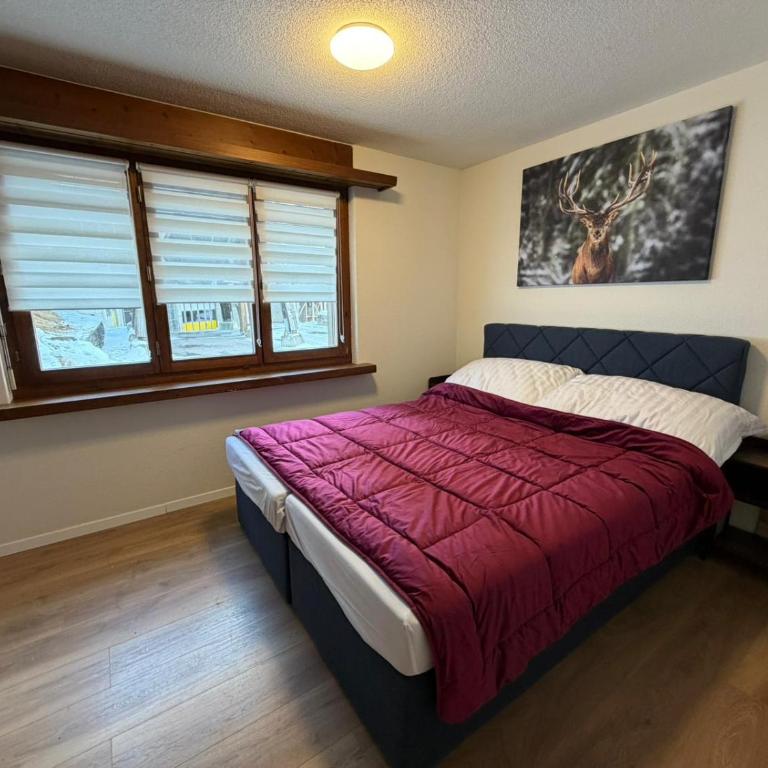 FeWo's und Apartment's Casa Martina - Apartment mit 2 Schlafzimmern - 3