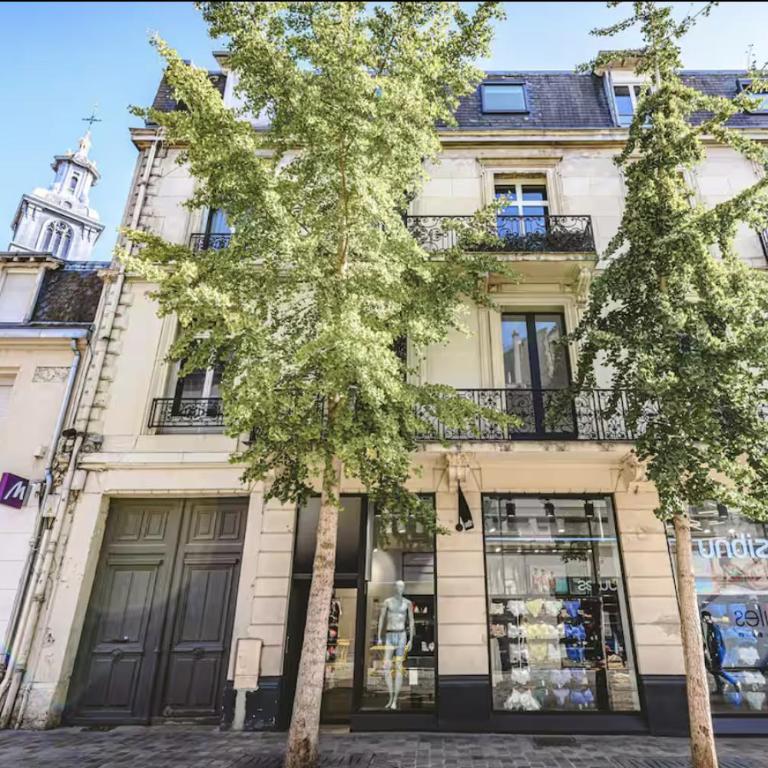 LE SAINT JACQUES - Reims hypercentre - Apartamento de 2 dormitorios - 3