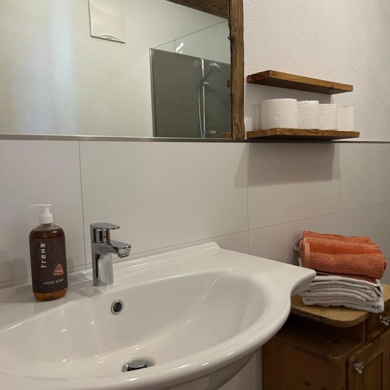 Kastnerhof - Apartamento de 2 dormitorios (4 adultos) - 25