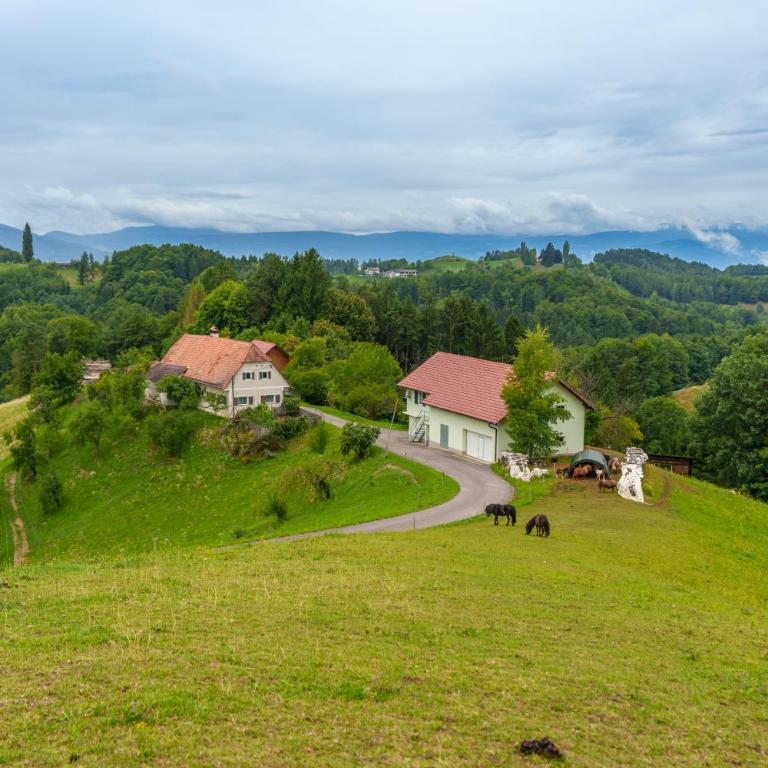 Winzerhaus am Eichberg - Appartamento con 3 Camere da Letto - 7