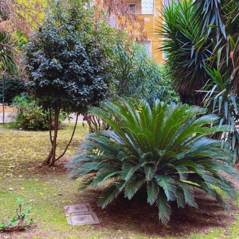 Dream House Rome - Appartamento con 2 Camere da Letto - 8