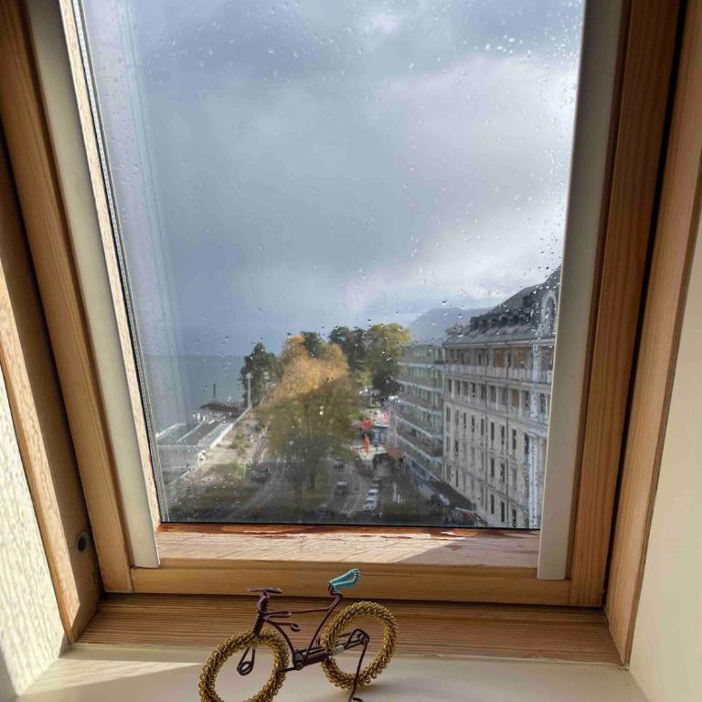 Le Duc D Albe face au lac Léman - Apartamento de 1 dormitorio - 17
