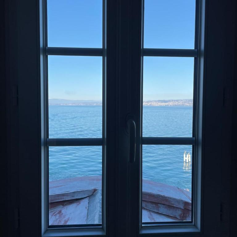 Le Duc D Albe face au lac Léman - Apartamento de 1 dormitorio - 3