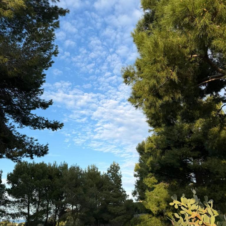 Villa Falesia, Capitolo, Monopoli - Casa con 3 Camere da Letto - 39