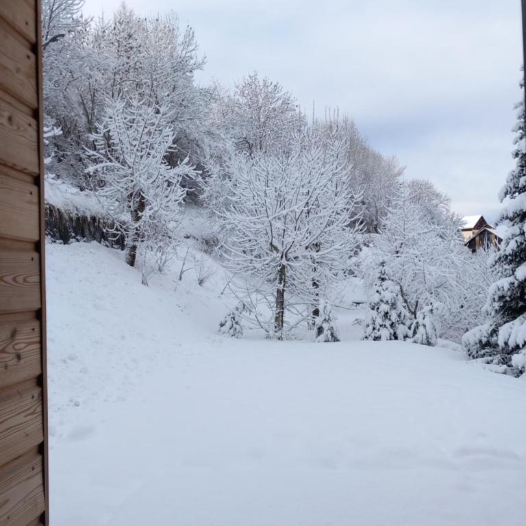 Les grands Combes - Chalet Supérieur - 37