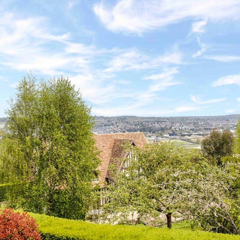 Superbe Villa à Deauville avec piscine chauffée - Villa - 10