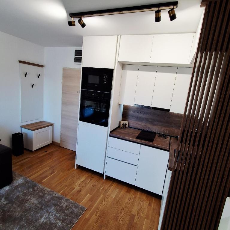 Luxury Apartment-Aurora 33 Free Parking City Center - One-Bedroom Apartment - 16