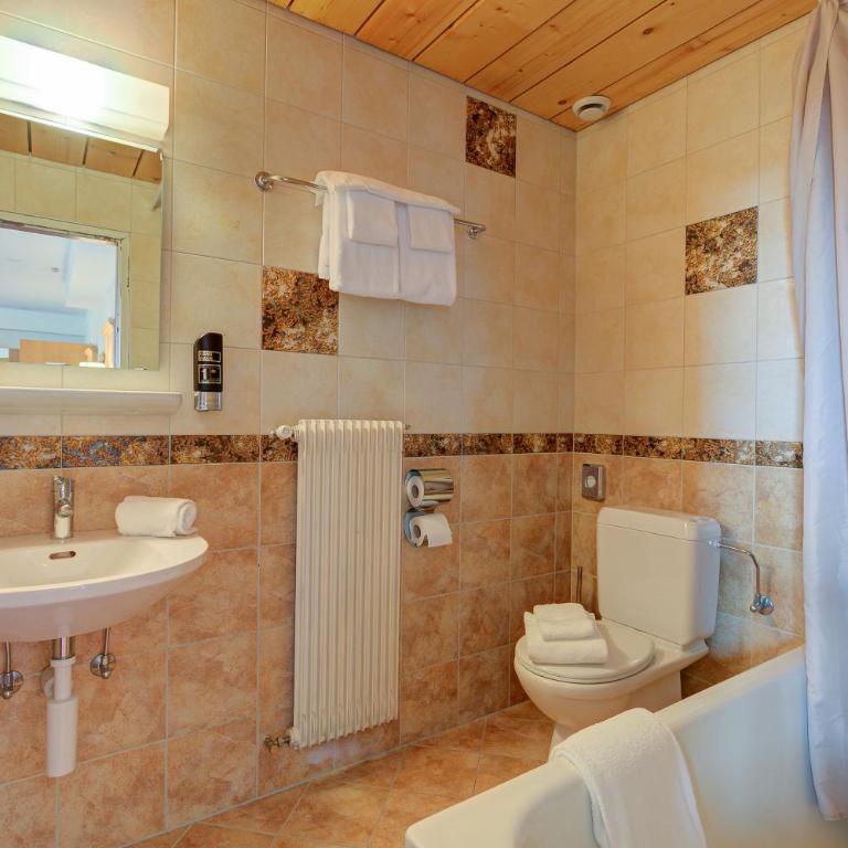 Hotel Relais Alpin - Deluxe Family Loft with Terrace - 1