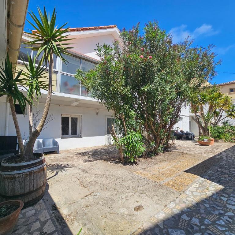 La Dorade du port studio clim terrasse plage - Appartement 1 Chambre - 3