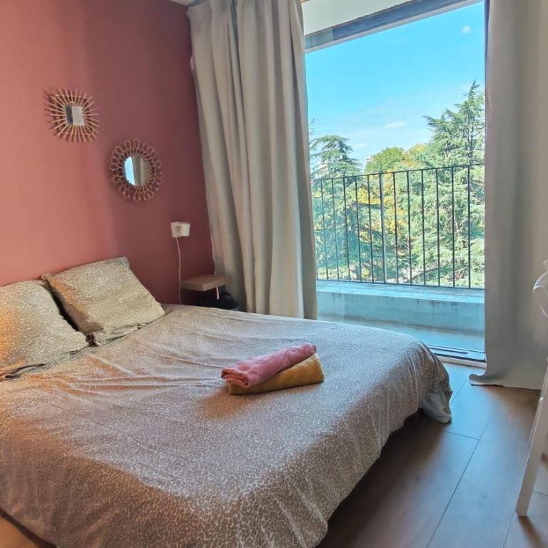 Cosy Flocon Edelweiss - T5 - Vue Pyrénées - Appartement - 4