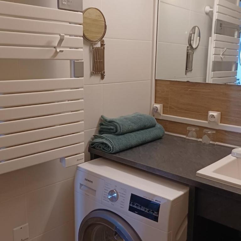 Le Cygne face au lac Léman - One-Bedroom Apartment - 12