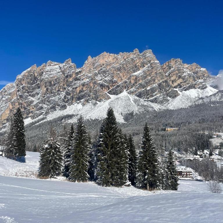 Chalet Alba - Appartamento con 2 Camere da Letto e con Vista Montagna - 21