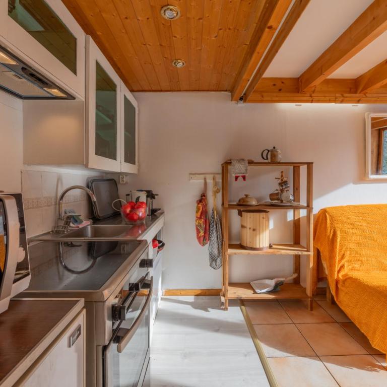 Résidence Grand Roc - Ancolies 017 - Happy Rentals - Apartamento con balcón - 9