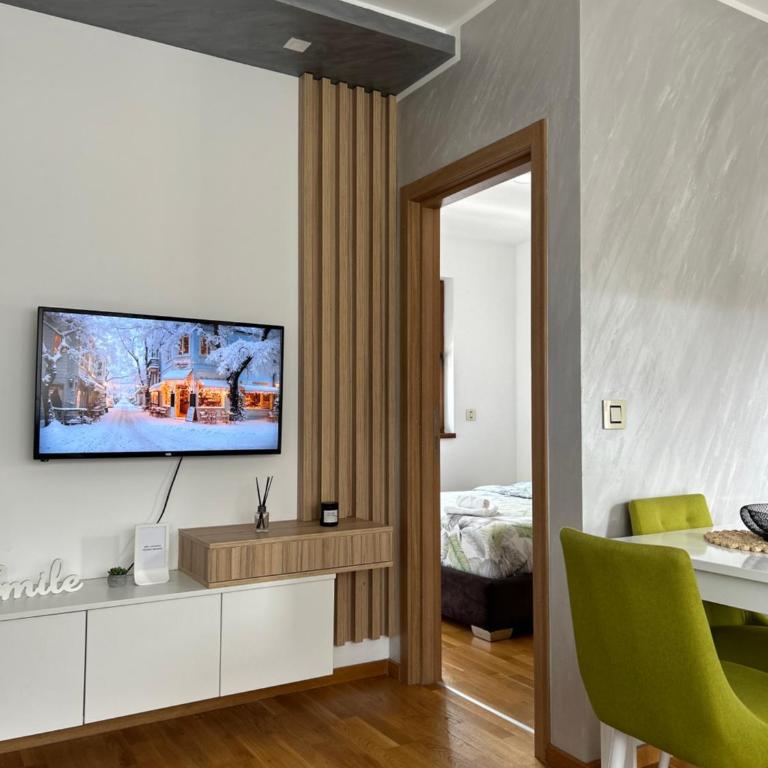 Apartman Radovanović - One-Bedroom Apartment - 3