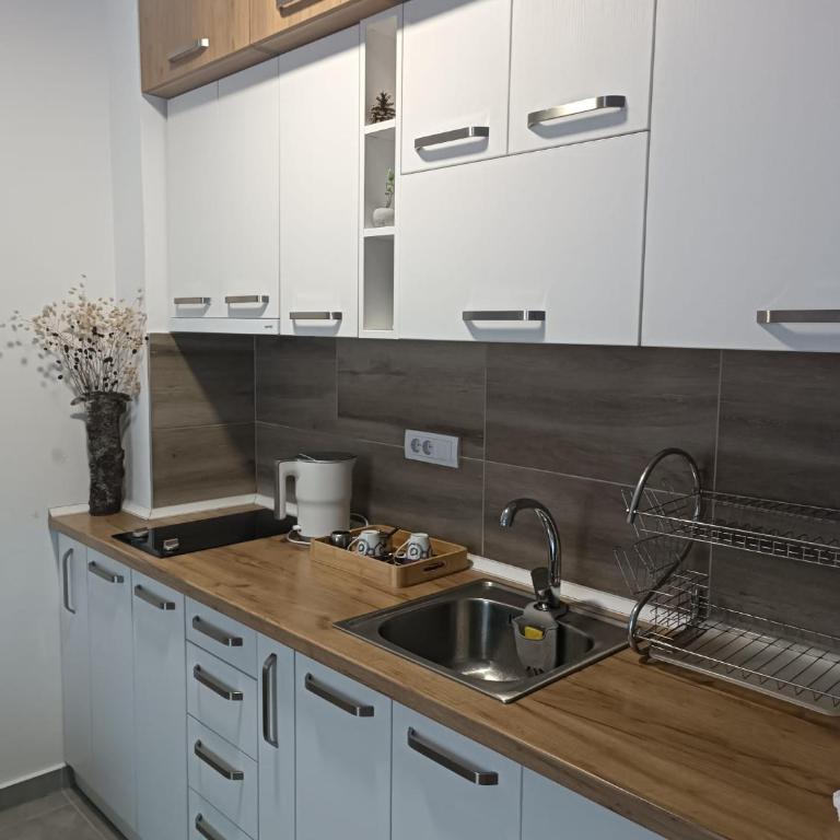 Divci Nova1- A8 - Apartman sa 1 Spavaćom Sobom - 6