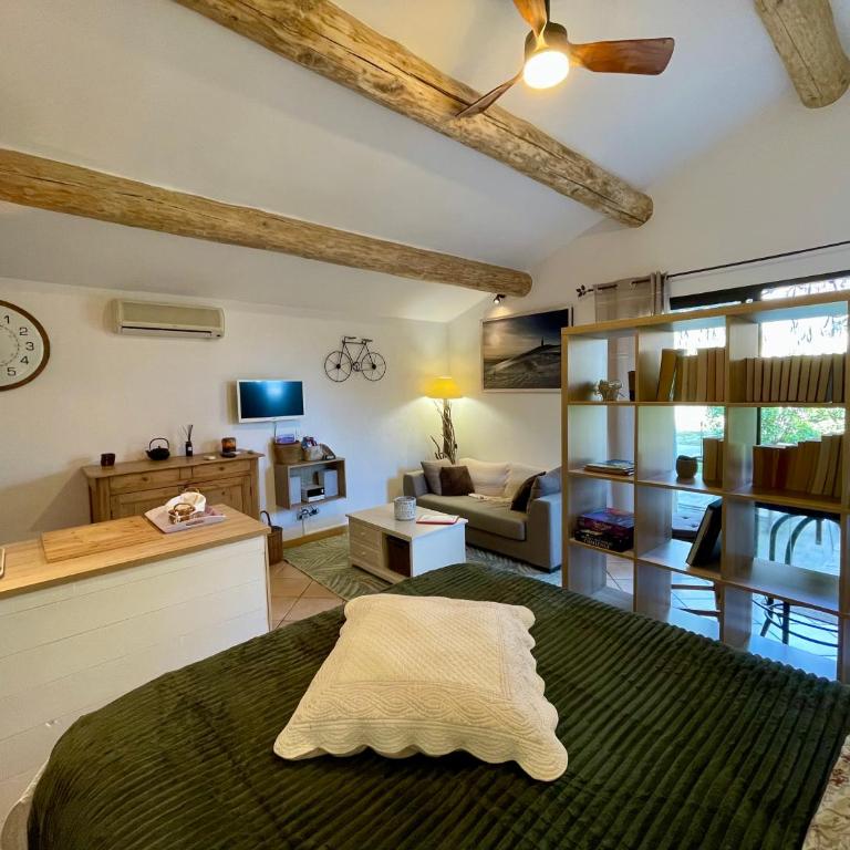 La belle histoire Gîte Ventoux - Studio avec Vue sur Jardin - 5