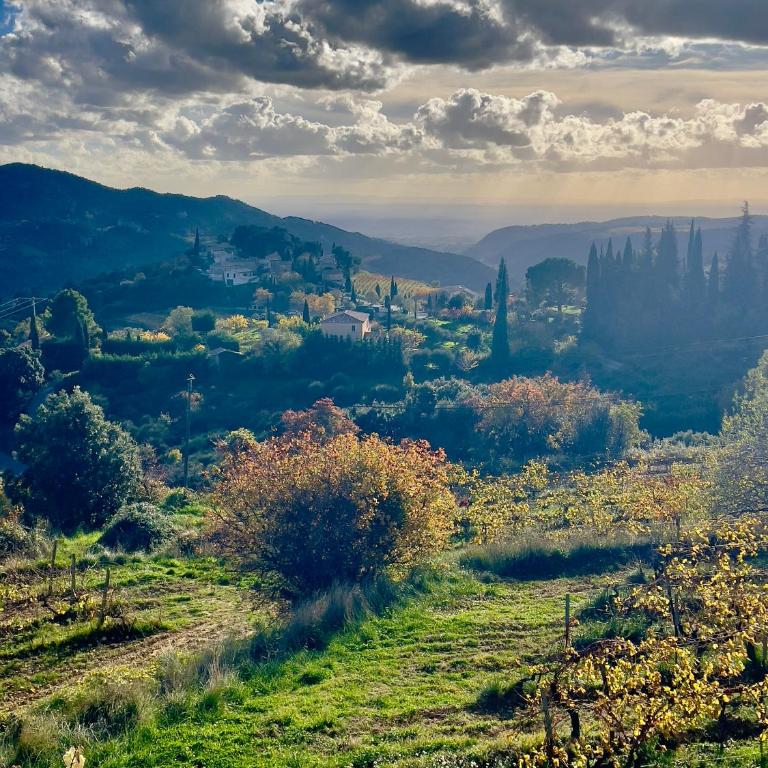 La belle histoire Gîte Ventoux - Studio avec Vue sur Jardin - 23