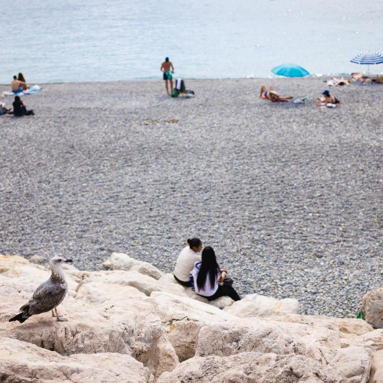 Cosy Nice Promenade des Anglais Beach Apartment parking - Appartement 1 Chambre - 31
