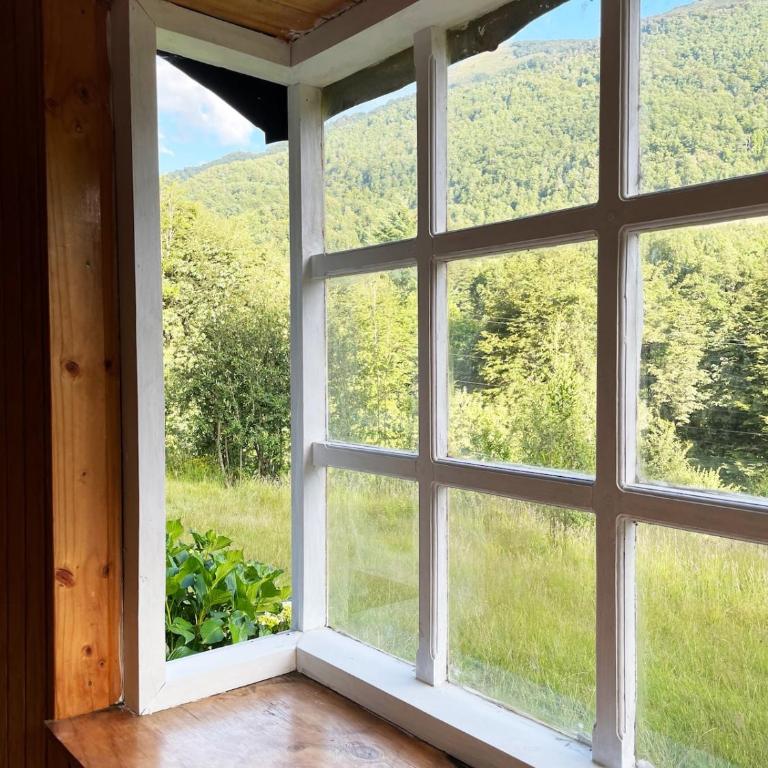 Cabaña rodeada de bosques y montañas - Pura Paz - Two-Bedroom House - 28
