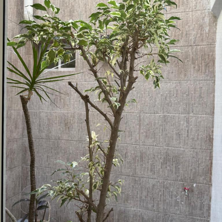 Amplio Depto en Recoleta para 5 Muy Luminoso - Two-Bedroom Villa - 20