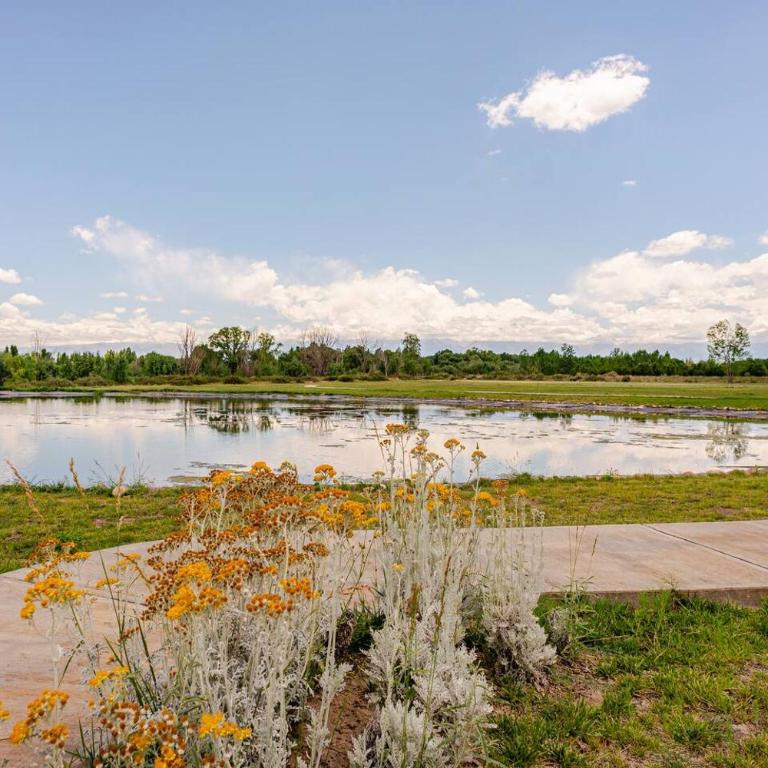 House by Casa Septem - Casa de 6 dormitorios - 32