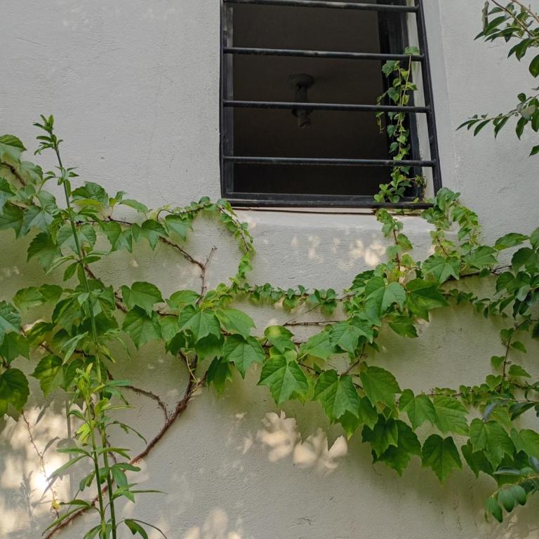 Arcadia - Apartamento de 1 dormitorio - 20