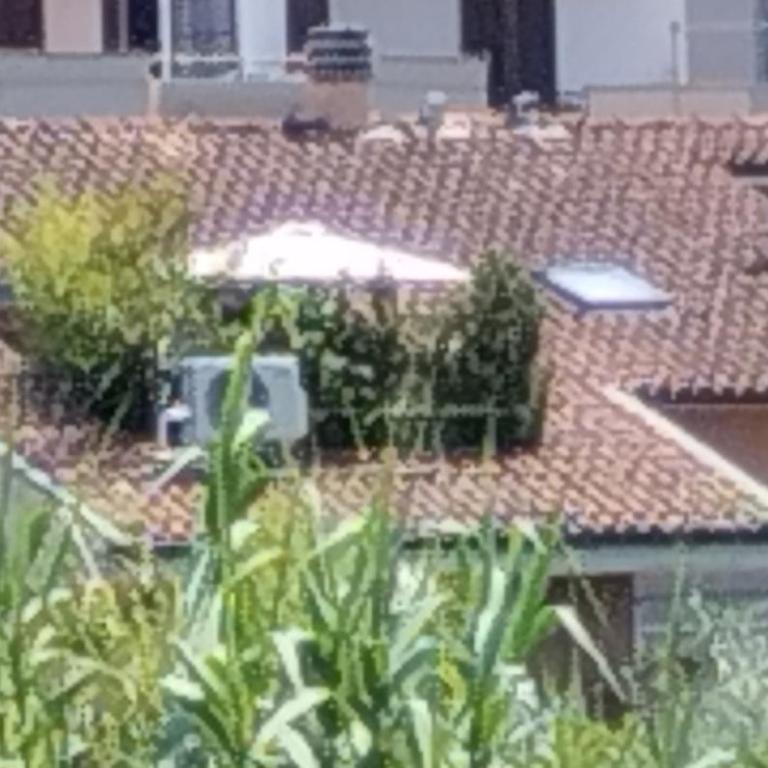 Bellini's House - Two-Bedroom Apartment with Terrace - 3