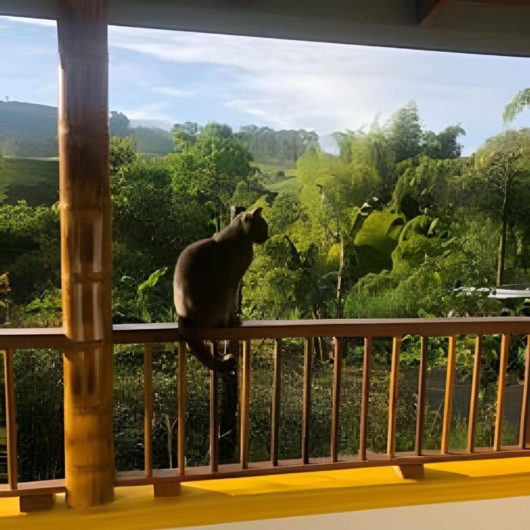 FINCA HOTEL DON JULIO - Bungalow - 18