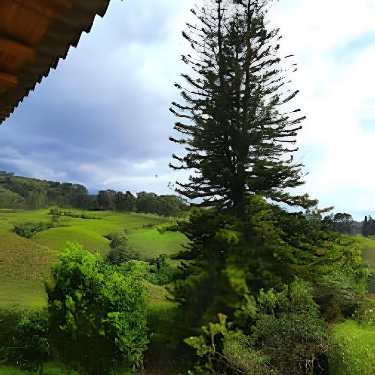 FINCA HOTEL DON JULIO - Bungalow - 26
