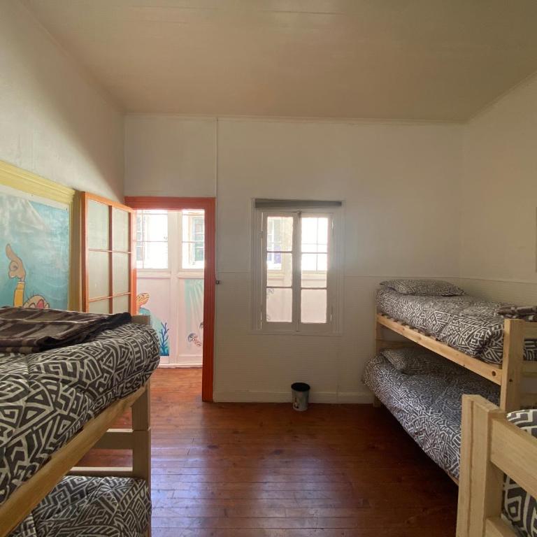 La Mancha Art Hostel - Single Bed in Mixed Dormitory Room - 5