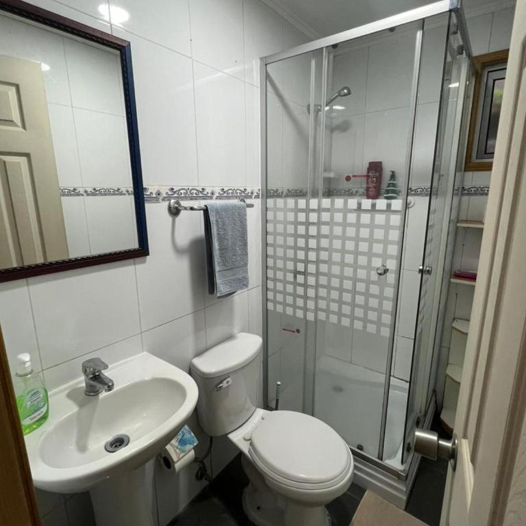 Hospedaje El Roble, Puerto Varas - One-Bedroom Apartment with Terrace - 4