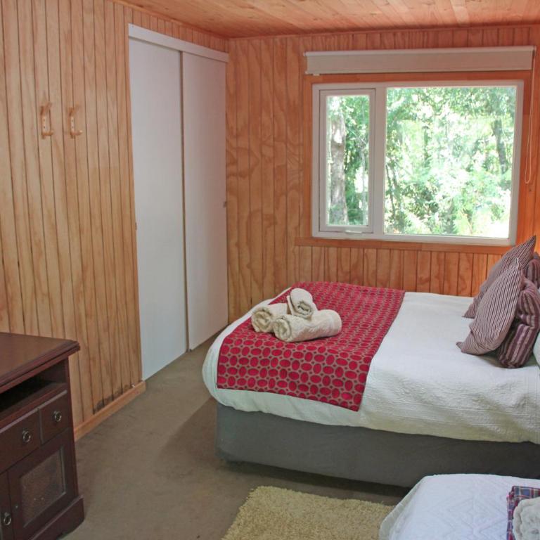 Cabaña Fio-Fio Conguillio National Park - One-Bedroom Chalet - 6