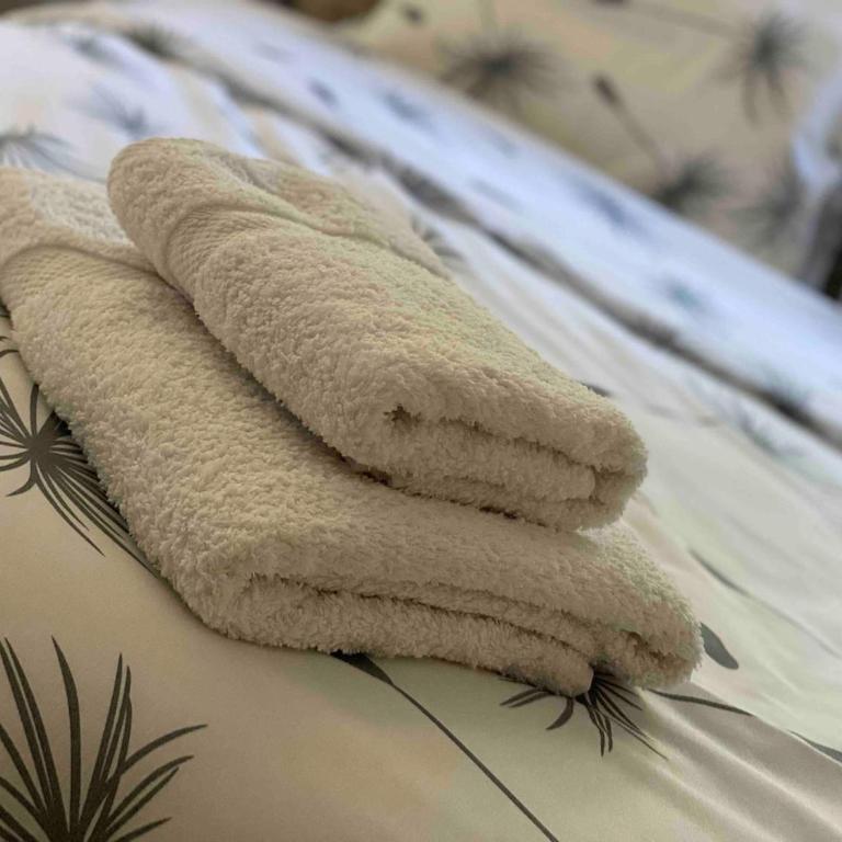 Full house apartment - Apartman sa 2 Spavaće Sobe - 50