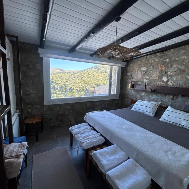 suite premium en viñedo en la montaña - Casa con 1 dormitorio - 17