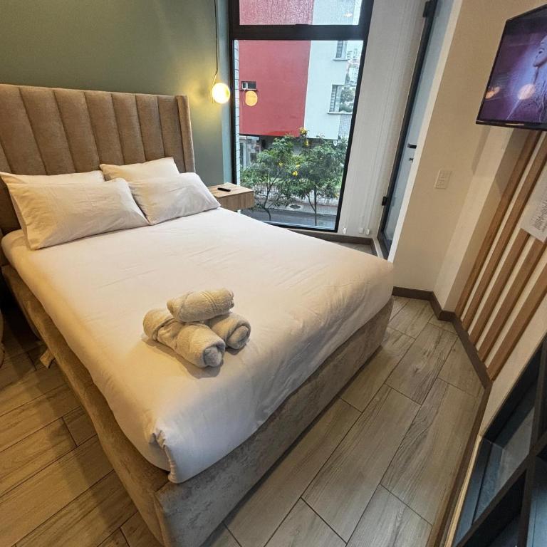 Torre Pontina La Carolina Quito Coliving Ecuador Residences - Estudio con balcón - 9