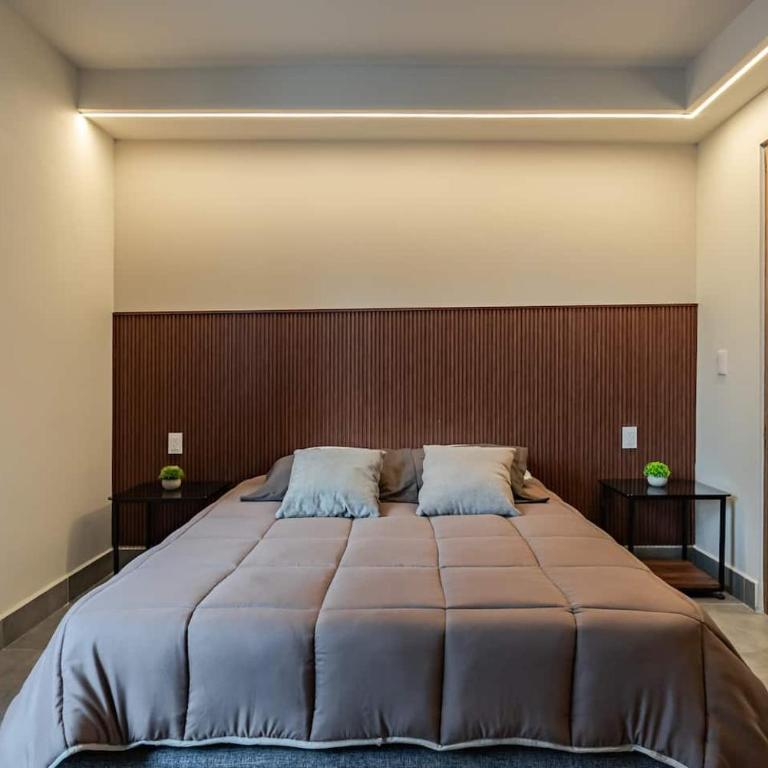 Comfy condo with rooftop in Roma Norte - Vacation Home - 2