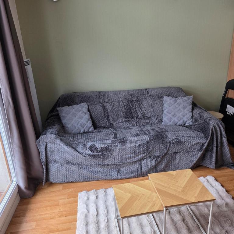 Le Nivelet - Duplex aux pieds des pistes toute l'année - Apartment mit 1 Schlafzimmer - 10