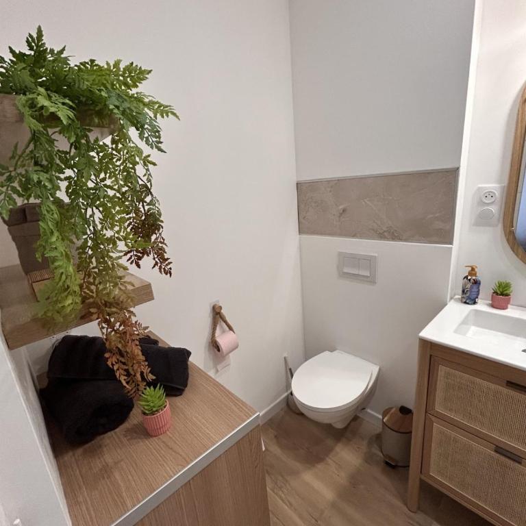 Une Perle à Nancy - Apartment mit 1 Schlafzimmer - 7