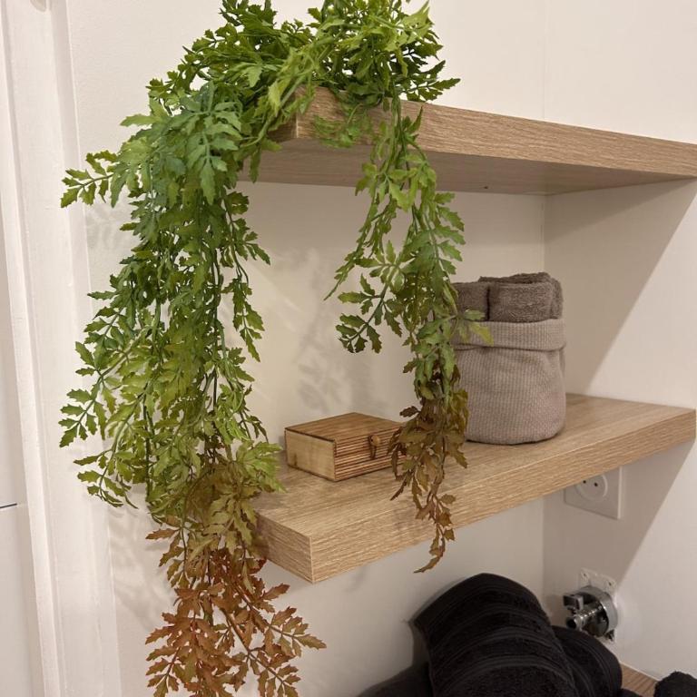 Une Perle à Nancy - Apartment mit 1 Schlafzimmer - 10