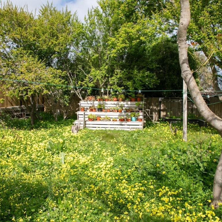 Beach house, cozy and excellent location - Three-Bedroom House - 7