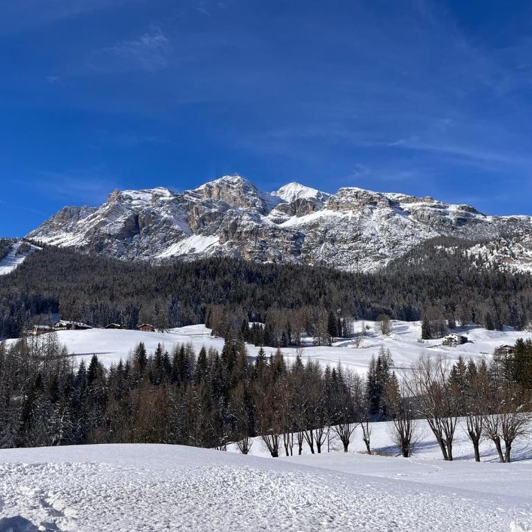 Cortina Relax - Appartamento con 1 Camera da Letto - 24