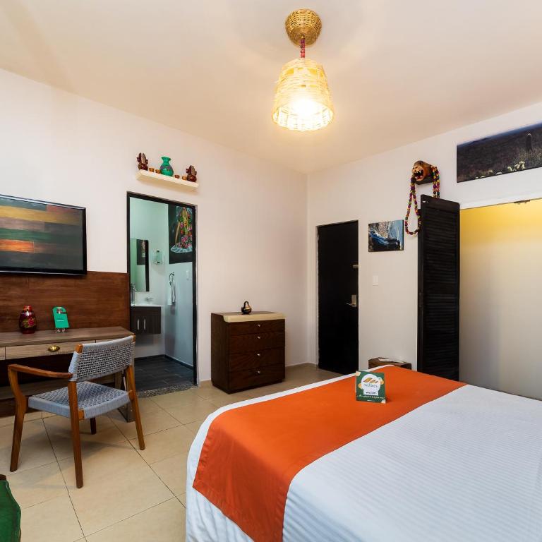 Hotel Casa Anzures - Estudio - 3